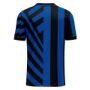 Picture of INTER MILANO 2024-25 Soccer Jersey