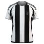 Picture of JUVENTUS  2024-25 Soccer Jersey