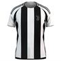 Picture of JUVENTUS  2024-25 Soccer Jersey