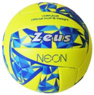 Picture of Volley Beach Ball Neon