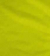 Picture of Short Sleeve Shirt Fit