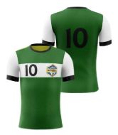 Picture of Custom Made Soccer Game Uniform Jersey with Team Logo and Player Numbers. Style 109J.