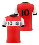 Picture of Custom Made Soccer Game Uniform Jersey with Team Logo and Player Numbers. Style 109J.