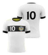 Picture of Custom Made Soccer Game Uniform Jersey with Team Logo and Player Numbers. Style 109J.