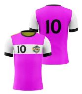 Picture of Custom Made Soccer Game Uniform Jersey with Team Logo and Player Numbers. Style 109J.