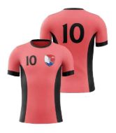 Picture of Custom Made Soccer Game Uniform Jersey with Team Logo and Player Numbers. Style 103J.
