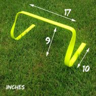 Picture of martini SPORT™ 6 Pack of 9 Inches Flat Hurdles