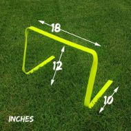 Picture of martini SPORT™ 6 Pack of 12 Inches Flat Hurdles