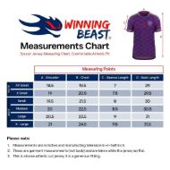 Picture of MIAMI 2024-25 Soccer Jersey