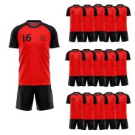 Picture of Lot of 15 Unisex Soccer Apparel (Jersey and Shorts) Custom Made for You in Any Ten Sizes with Numbers and Logo. Style 218