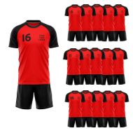 Picture of Lot of 15 Unisex Soccer Apparel (Jersey and Shorts) Custom Made for You in Any Ten Sizes with Numbers and Logo. Style 218