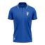 Picture of 2026 World Cup Italy Shirt Polo Style, Breathable Moisture-Wicking Fabric, US Standard Sizes