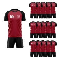 Picture of Lot of 15 Soccer Uniforms (Jersey and Shorts) Style N218SK-Special Custom Made.